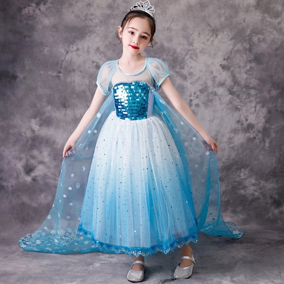 Other - Frozen Princess Elsa Sparkly Sequin Costume Dress